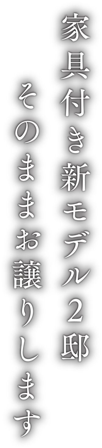 家具付き新モデル2邸　　そのままお譲りします